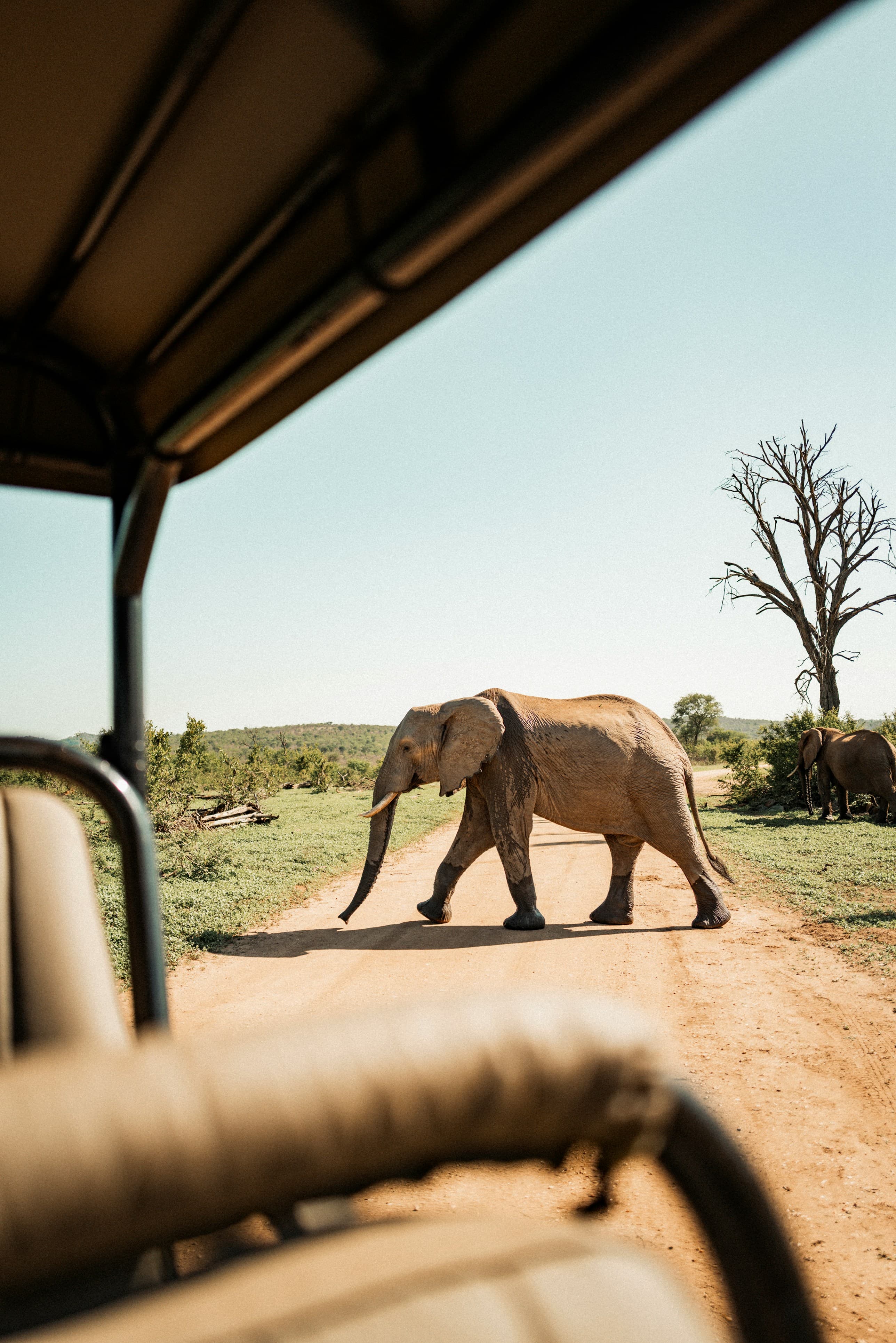 Safari at Royal Mandarin Hotel & Resort — gallery image 2