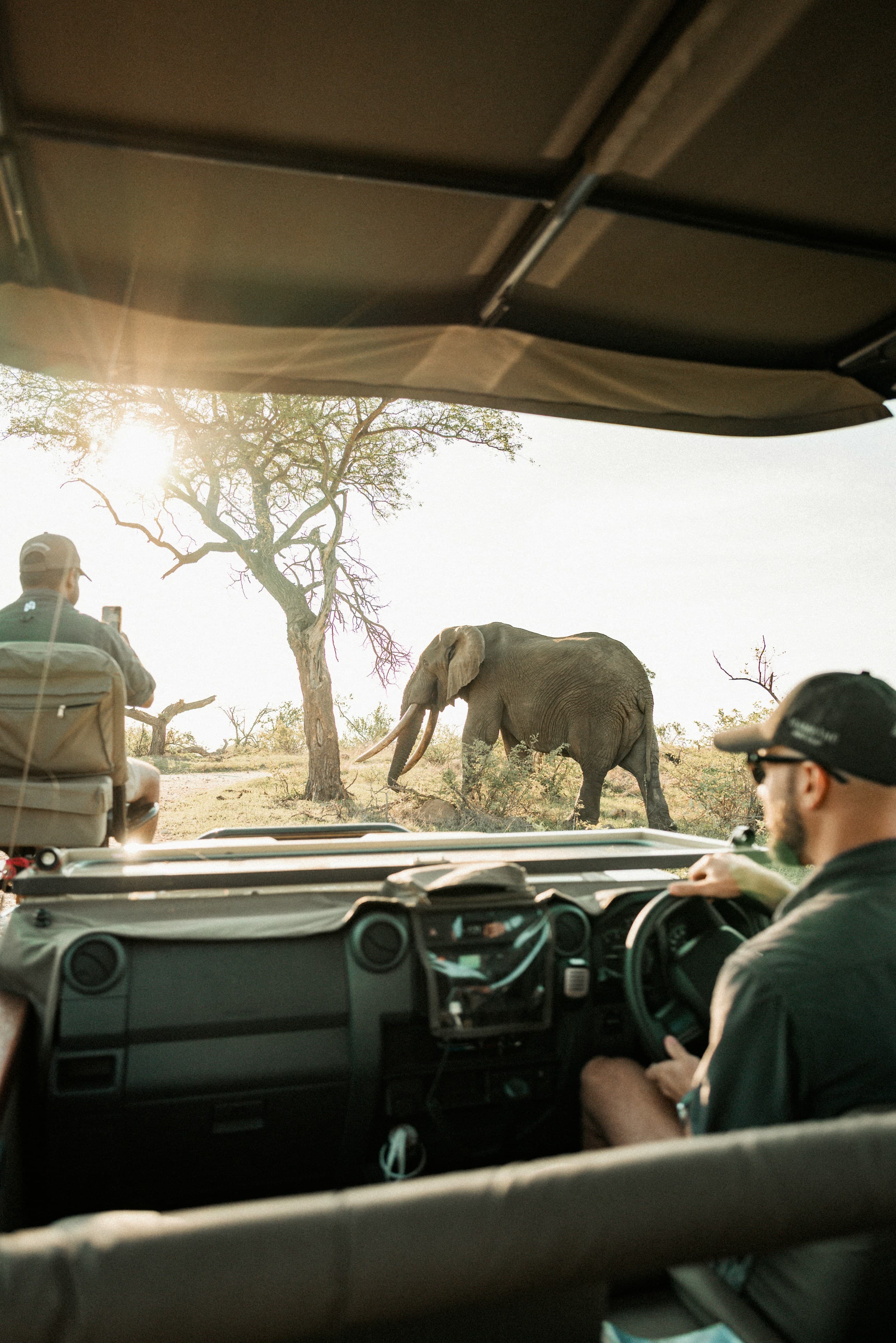 Safari at Royal Mandarin Hotel & Resort — gallery image 5