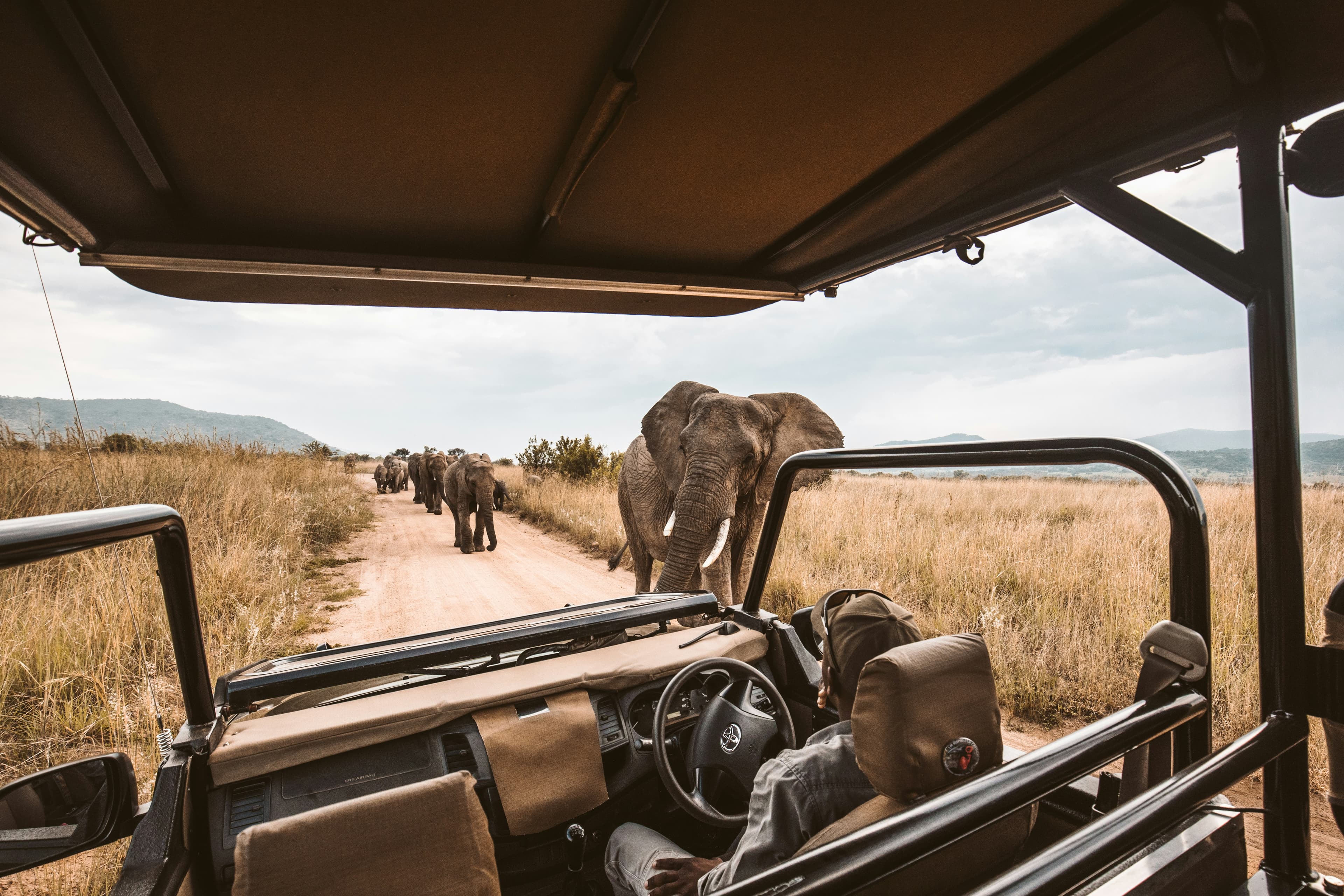 Safari at Royal Mandarin Hotel & Resort — gallery image 9