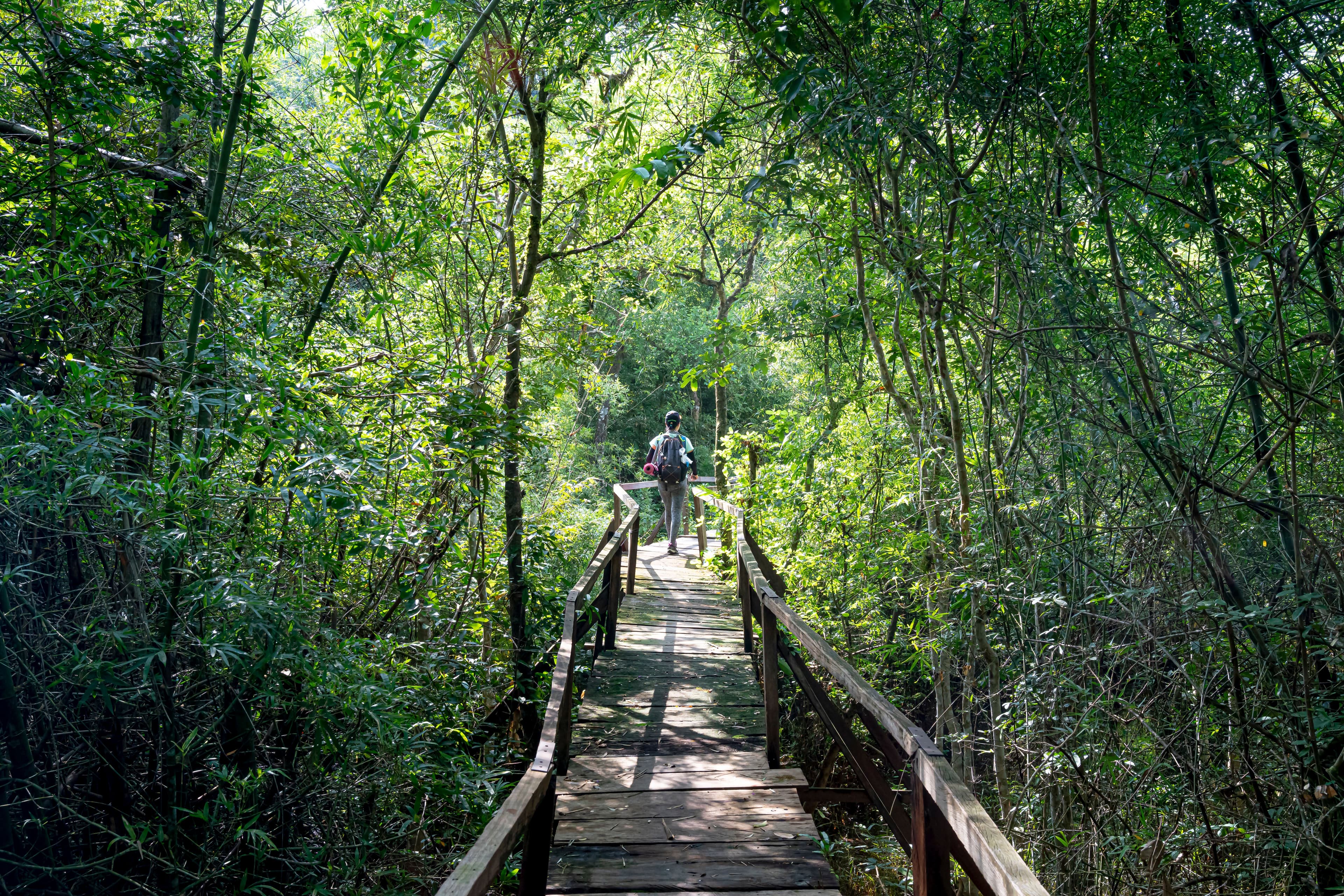 FORESTA DI JOZANI at Royal Mandarin Hotel & Resort — gallery image 1