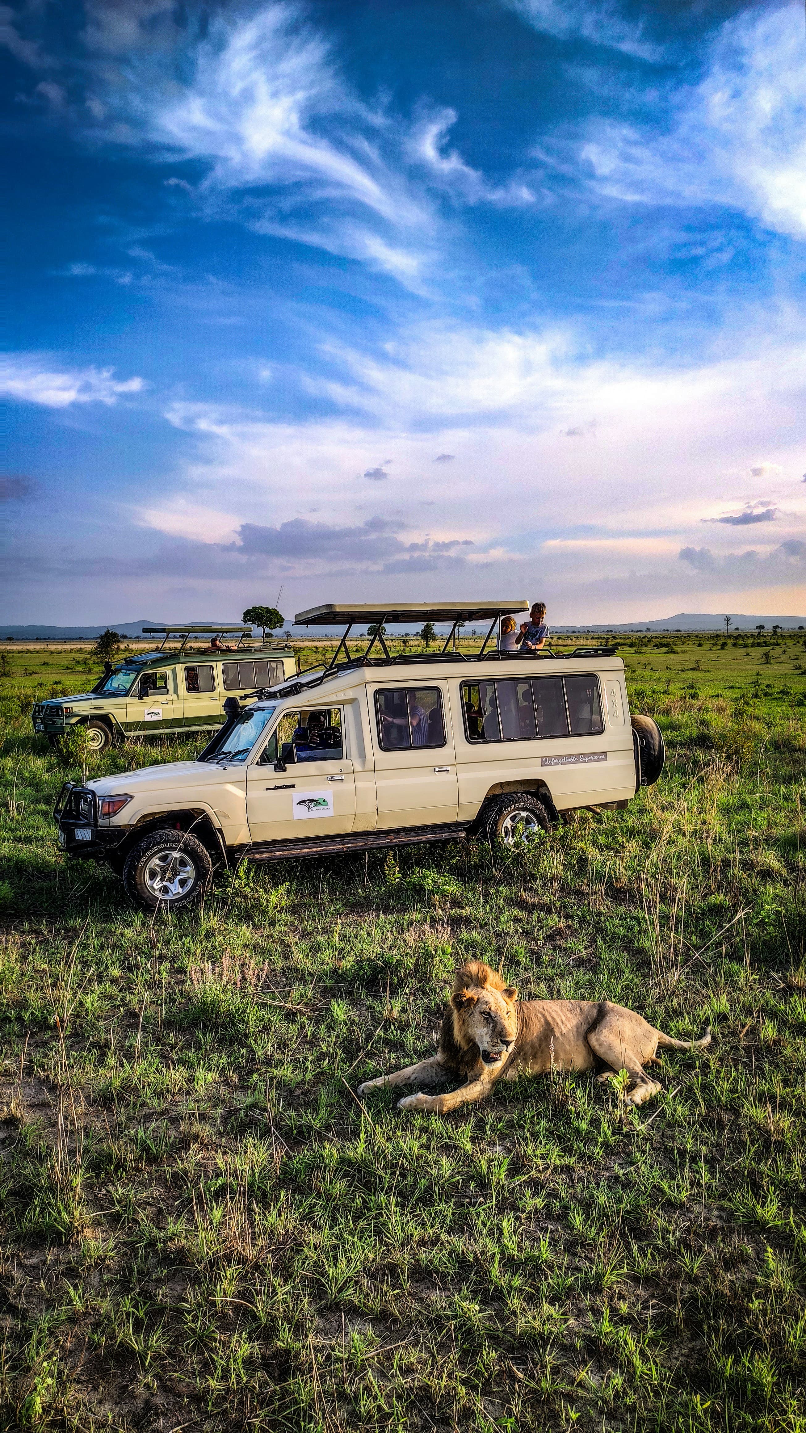 TANZANIA SAFARI at Royal Mandarin Hotel & Resort — gallery image 3