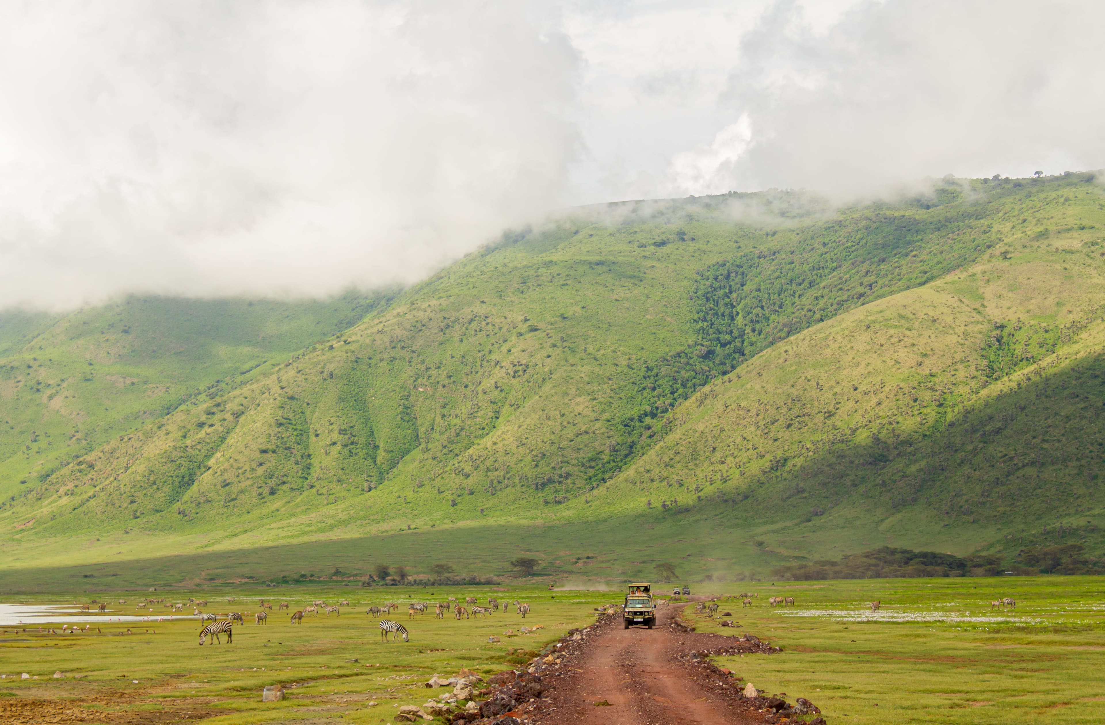 TANZANIA SAFARI at Royal Mandarin Hotel & Resort — gallery image 5